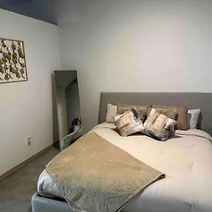 Luxury Cozy Loft Downtown Stl , Saint Louis United States